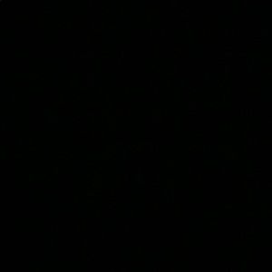 Meet your Posher, Lexi